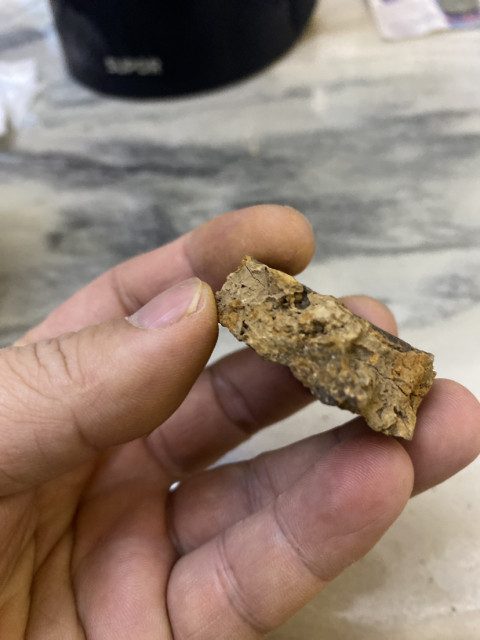 古玩錢幣紹圣元寶筒子拍賣，當前價格480元