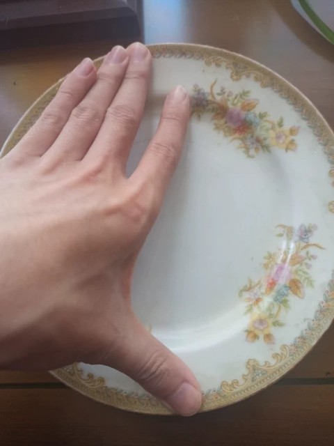 古玩陶瓷滿洲國，高檔描金，花卉盤拍賣，當前價格777元