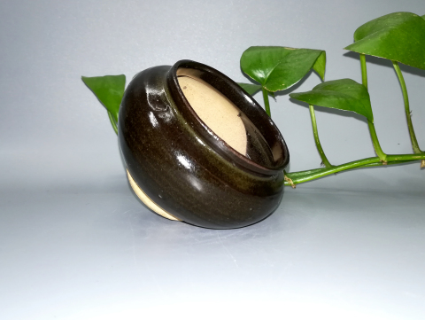 古玩陶瓷元明磁州窯茶葉末釉茶入拍賣，當前價格999元