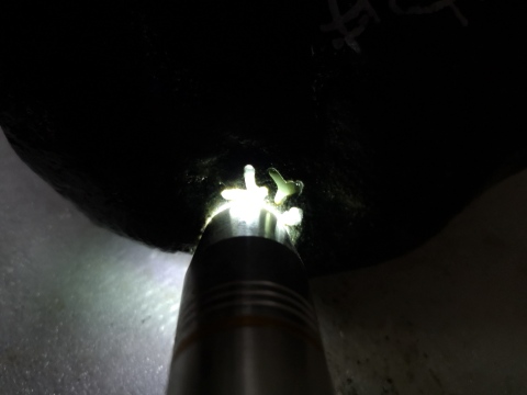 古玩玉器翡翠原石拍賣，當前價格750元