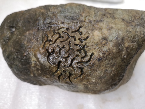 古玩玉器翡翠原石拍賣，當前價格888元