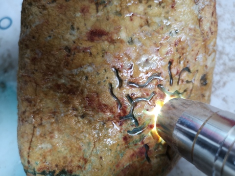 古玩玉器翡翠原石拍賣，當前價格850元