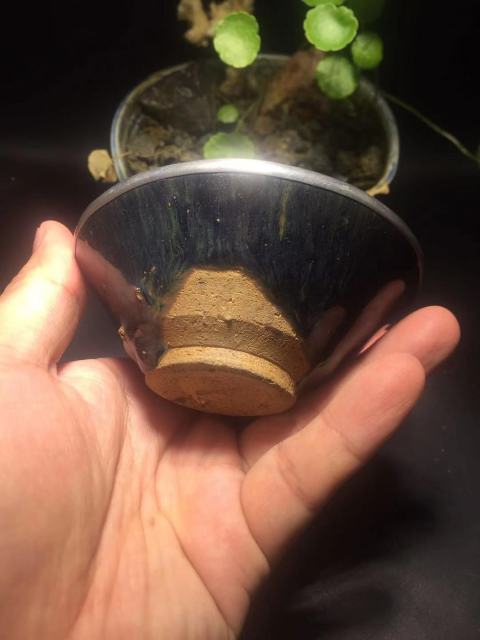 古玩陶瓷【翰林】【稀有品種】建窯紫金釉藍毫束口盞拍賣，當前價格1999元