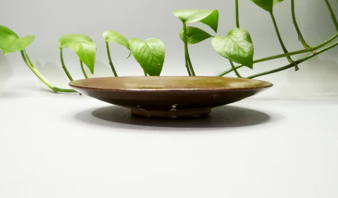 古玩陶瓷元明磁州窯茶葉末釉盤拍賣,當(dāng)前價(jià)格999元
