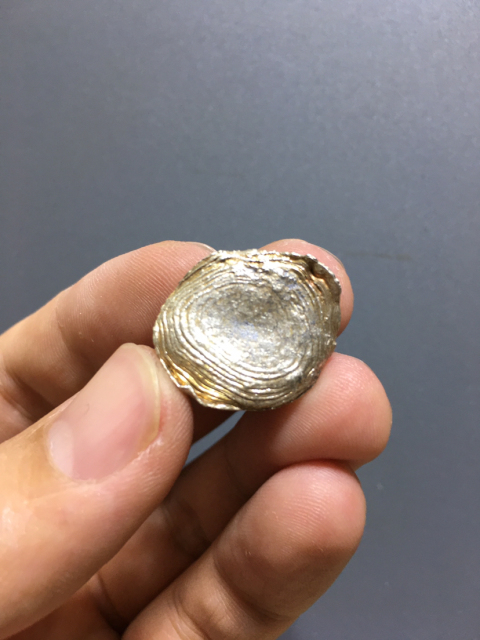 古玩錢幣清代銀錠銀元寶（2）拍賣，當前價格999元