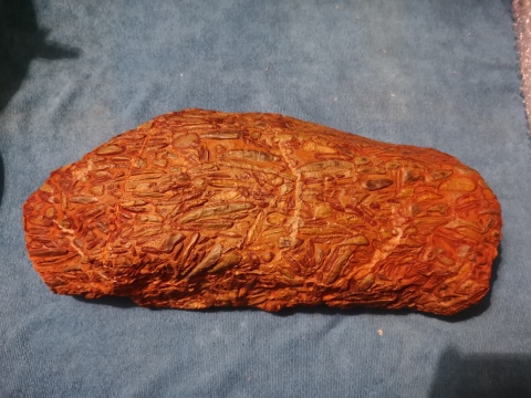 古玩雜項全網唯一一件 豆瓣石賞石拍賣,當前價格858元