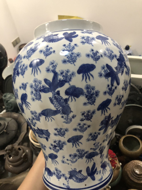 古玩陶瓷魚(yú)藻紋青花將軍罐拍賣(mài),當(dāng)前價(jià)格888元