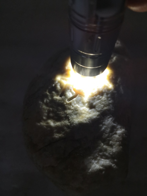 古玩玉器翡翠原石拍賣(mài),當(dāng)前價(jià)格580元
