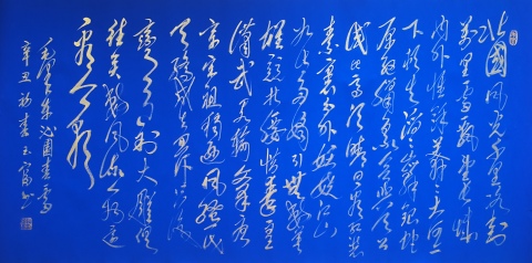 古玩字畫毛體書畫家當代蝦王薛玉富毛體書法沁園春雪行草拍賣,當前價格899元