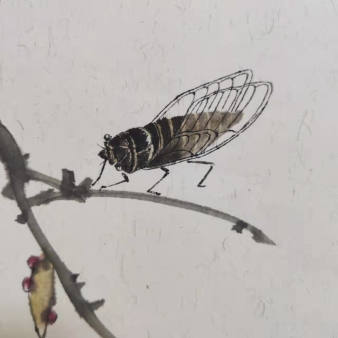 古玩字畫中國美術家協會會員董陽憇拍賣,當前價格298元