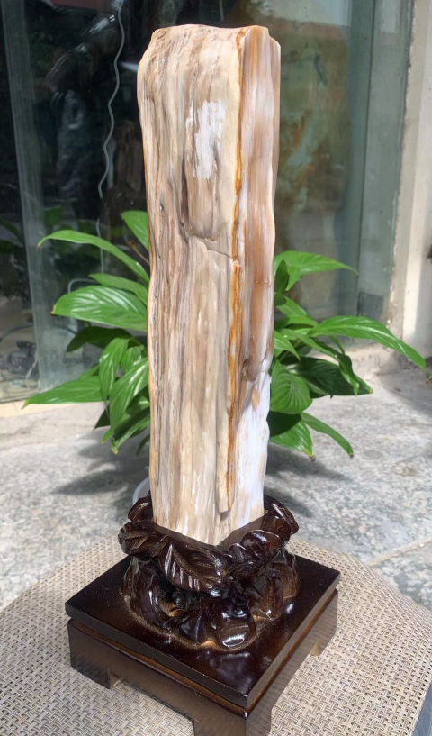 古玩雜項樹化玉拍賣,當前價格2800元