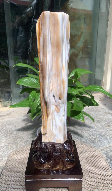 古玩雜項樹化玉拍賣,當前價格2800元