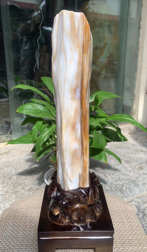 古玩雜項樹化玉拍賣,當前價格2800元