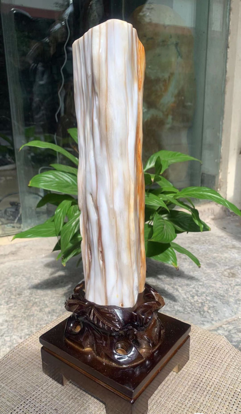 古玩雜項樹化玉拍賣,當前價格2800元