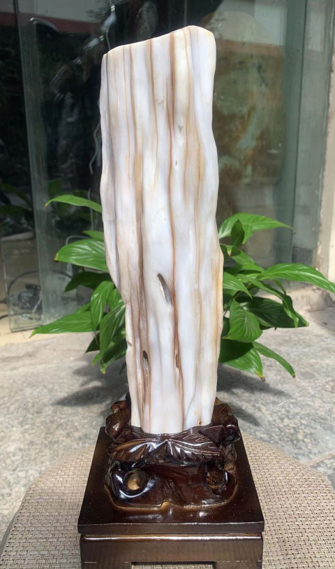 古玩雜項樹化玉拍賣,當前價格2800元