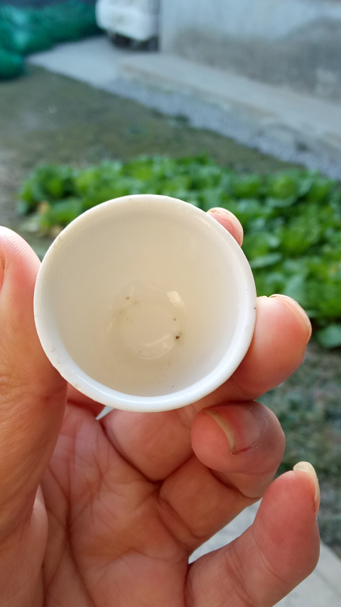 古玩陶瓷【民國】山水紋青花杯拍賣,當(dāng)前價格88元