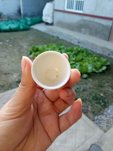 古玩陶瓷【民國】山水紋青花杯拍賣,當(dāng)前價格88元