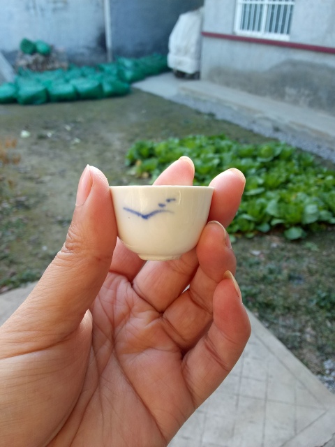 古玩陶瓷【民國】山水紋青花杯拍賣,當(dāng)前價格88元