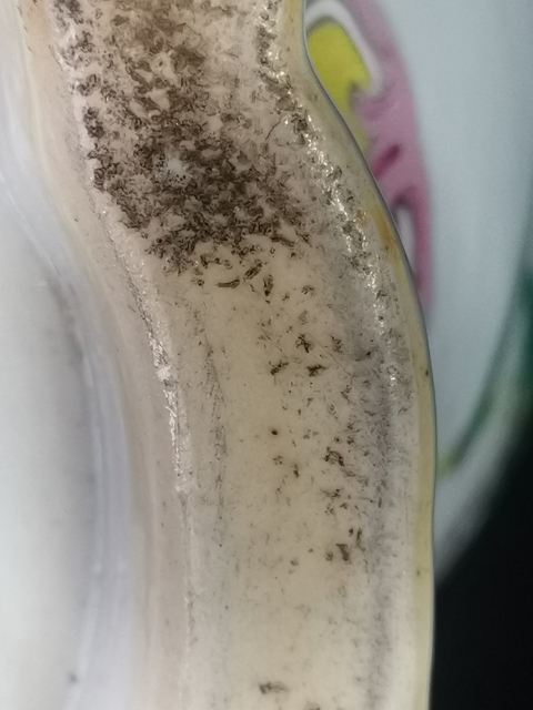 古玩陶瓷晚清粉彩開光蟲草紋雙耳瓶拍賣，當前價格2999元