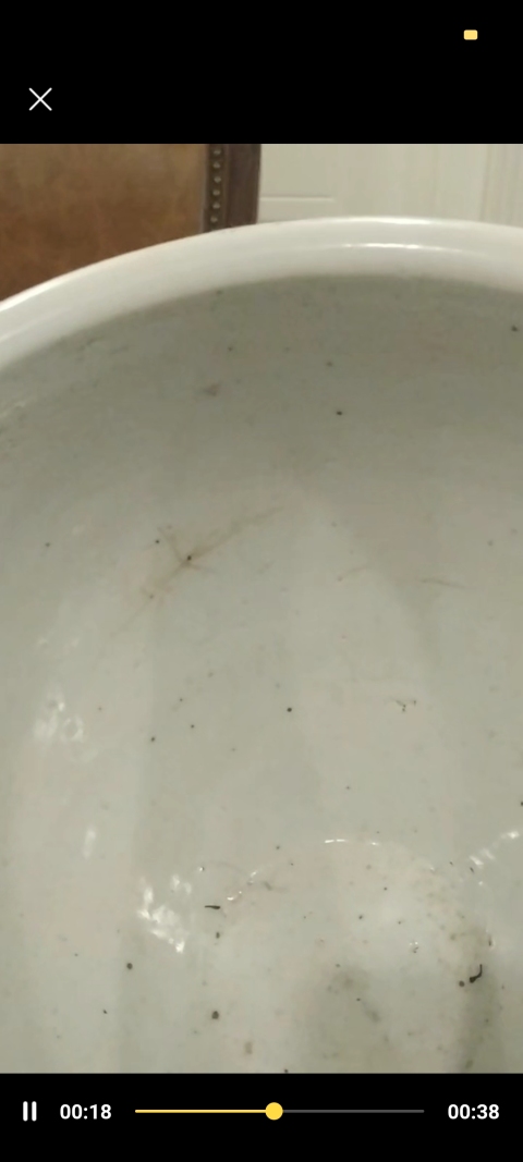 古玩陶瓷纏枝花卉紋青花缸拍賣，當前價格3000元