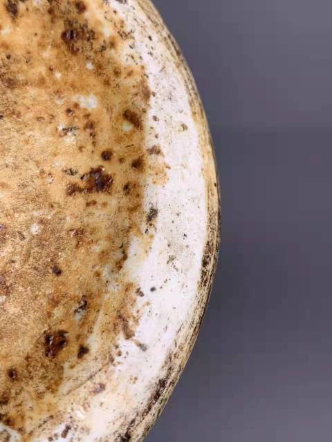 古玩陶瓷明早期風格祭藍釉梅瓶拍賣，當前價格360000元