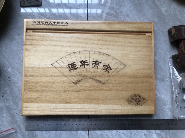 古玩雜項侏羅紀(jì) 狼鰭魚hua石拍賣,當(dāng)前價格555元