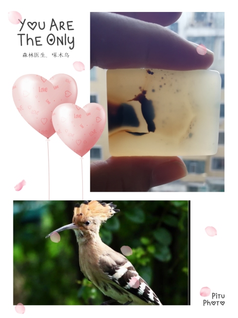 古玩玉器森林醫生啄木鳥象形瑪瑙拍賣，當前價格3300元