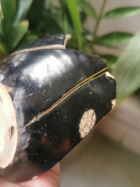 古玩陶瓷吉州窯木葉紋盞標本(黑美人)拍賣,當前價格450元