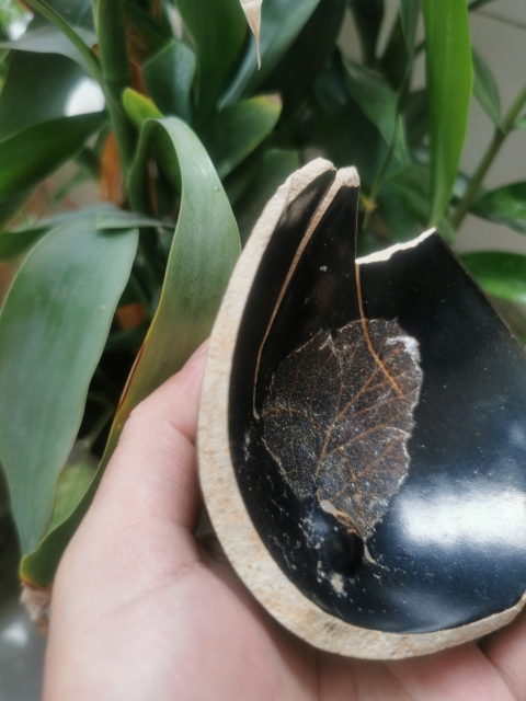 古玩陶瓷吉州窯木葉紋盞標本(黑美人)拍賣,當前價格450元