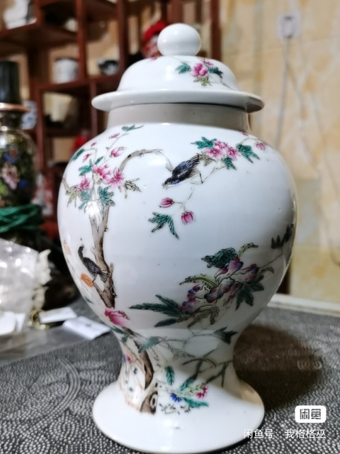 域鉴古玩】洪宪年制款花鸟纹粉彩将军罐鉴定结果_洪宪年制款花鸟