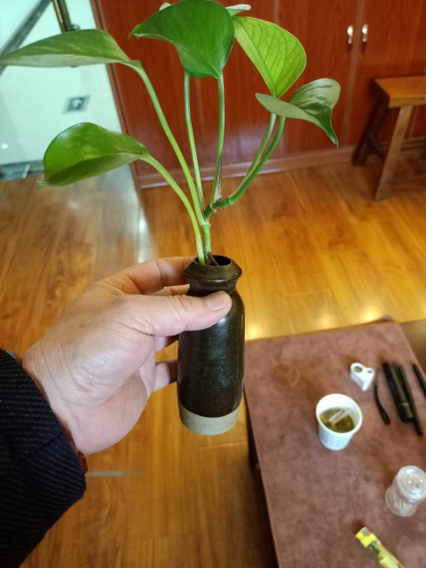 古玩陶瓷明代茶葉末釉瓶拍賣,當前價格1800元