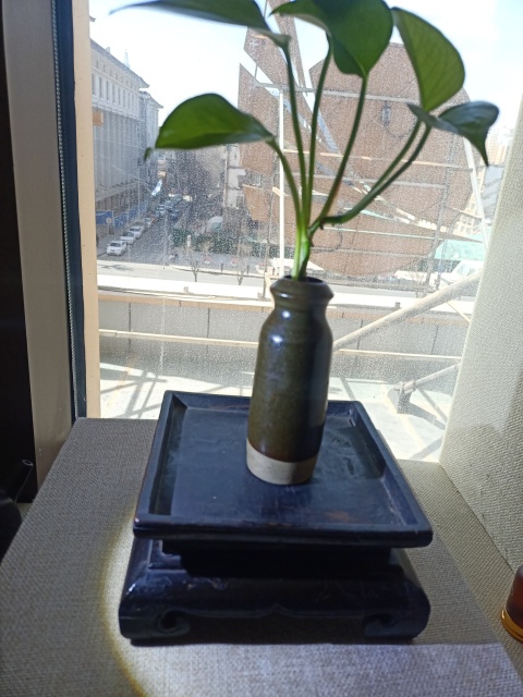 古玩陶瓷明代茶葉末釉瓶拍賣,當前價格1800元