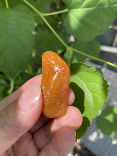古玩雜項(xiàng)壽山田黃凍石擺件拍賣，當(dāng)前價(jià)格2680元