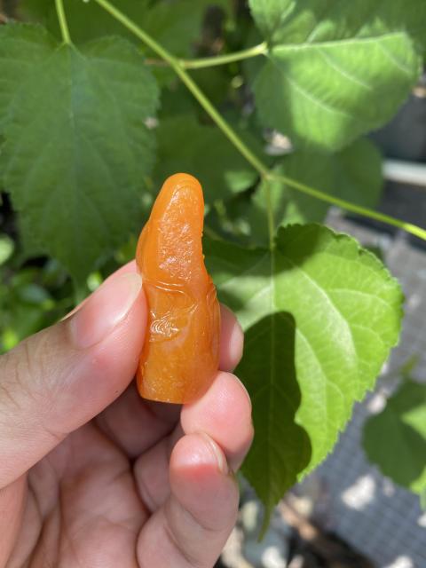古玩雜項(xiàng)壽山田黃凍石擺件拍賣，當(dāng)前價(jià)格2680元