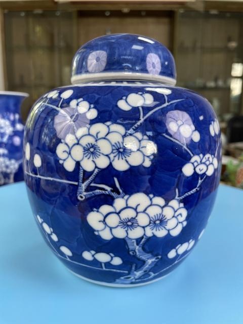 古玩陶瓷清晚期·極品康熙年制款青花留白梅紋大蓋罐拍賣，當前價格2900元