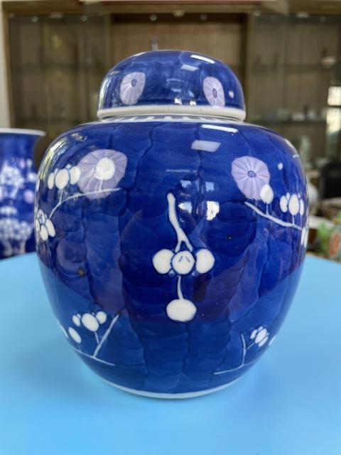 古玩陶瓷清晚期·極品康熙年制款青花留白梅紋大蓋罐拍賣，當前價格2900元
