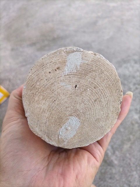 古玩陶瓷青白釉唇口罐拍賣(mài)，當(dāng)前價(jià)格450元