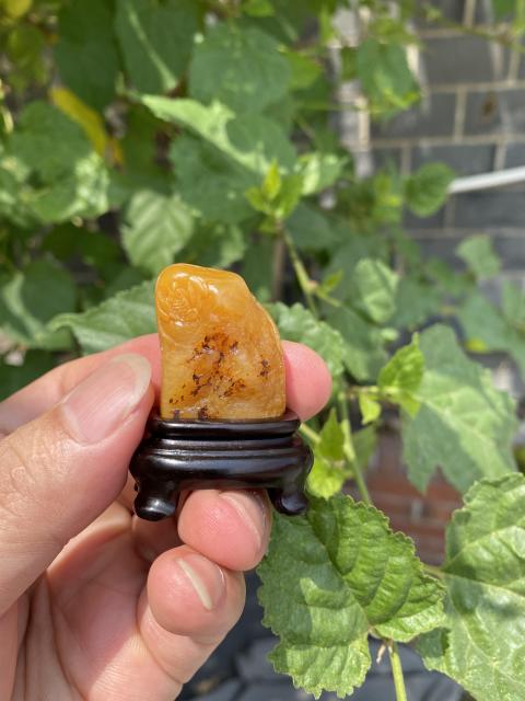 古玩雜項壽山田黃凍（珍稀品）（特價）拍賣，當前價格2299元