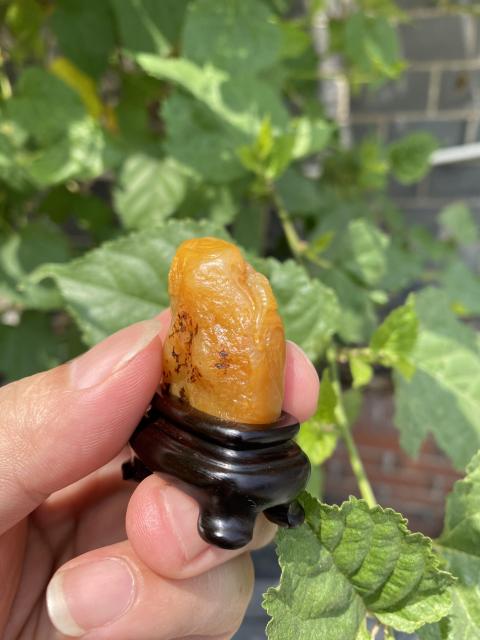 古玩雜項壽山田黃凍（珍稀品）（特價）拍賣，當前價格2299元