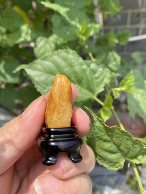 古玩雜項壽山田黃凍（珍稀品）（特價）拍賣，當前價格2299元