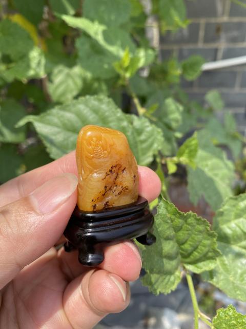 古玩雜項壽山田黃凍（珍稀品）（特價）拍賣，當前價格2299元