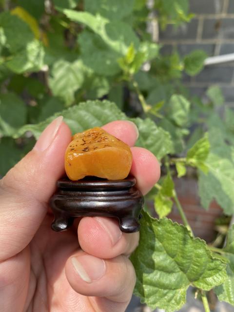 古玩雜項壽山田黃凍（珍稀品）（特價）拍賣，當前價格2299元