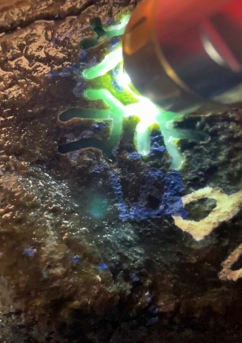 古玩玉器翡翠原石拍賣，當前價格1500元