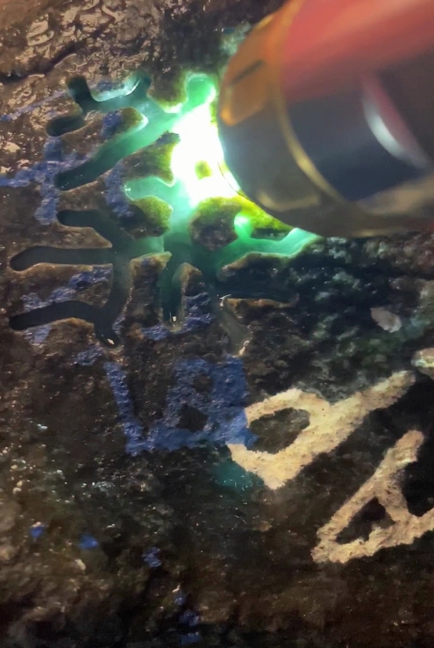 古玩玉器翡翠原石拍賣，當前價格1500元