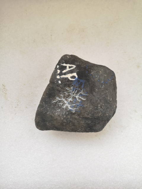 古玩玉器翡翠原石拍賣，當前價格1500元