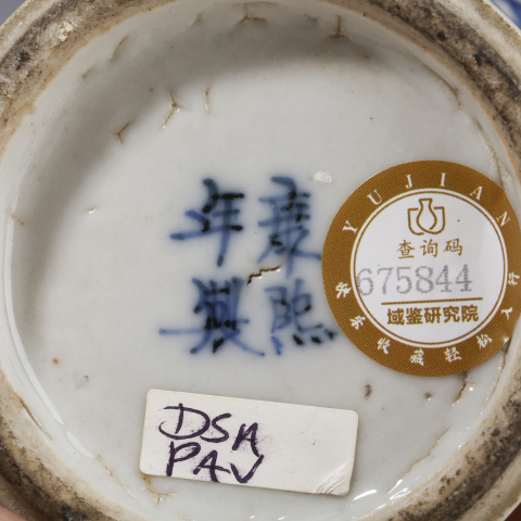 古玩陶瓷清光緒·青花富貴白頭紋梅瓶拍賣，當前價格2450元