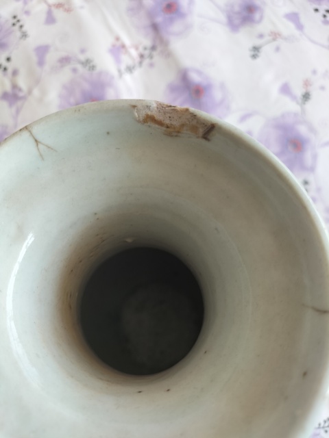 古玩陶瓷道光青花纏枝喜字獅耳瓶拍賣，當前價格1999元