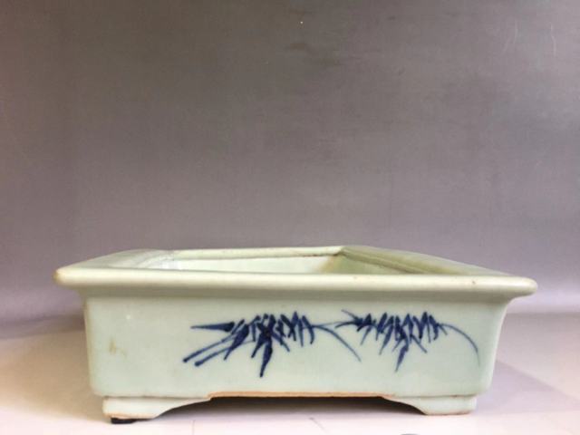 古玩陶瓷嘉慶青花釉里紅水仙盆拍賣,當前價格9000元
