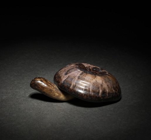 古玩陶瓷上世紀(jì)中期窯變釉仿生瓷蘑菇拍賣,當(dāng)前價(jià)格4500元
