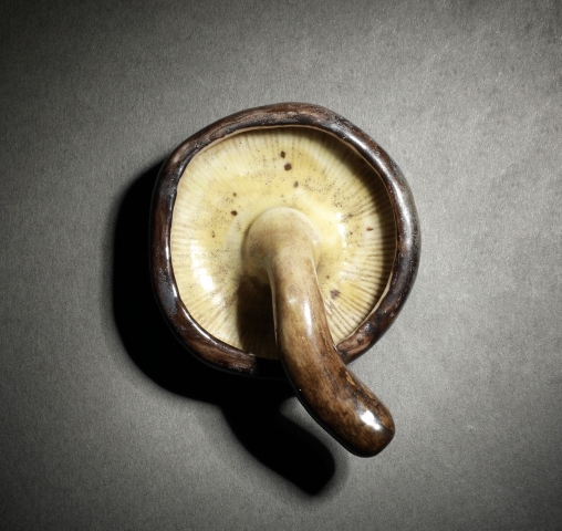 古玩陶瓷上世紀(jì)中期窯變釉仿生瓷蘑菇拍賣,當(dāng)前價(jià)格4500元